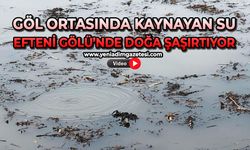 Göl ortasında kaynayan su: Efteni Gölü’nde doğa şaşırtıyor