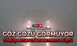 Göz gözü görmüyor: Görüş mesafesi 25 metreye düştü