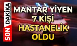 Ormandaki mantarları yiyen 7 kişi hastanelik oldu