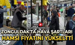 Zonguldak’ta hava şartları hamsi fiyatını yükseltti