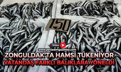 Zonguldak’ta hamsi tükeniyor: Vatandaş farklı balıklara yöneldi