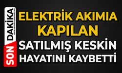 Elektrik akımına kapılan Satılmış Keskin hayatını kaybetti