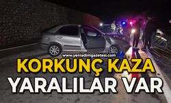 Yola çıkan yaban hayvanı kazaya neden oldu: 4 yaralı