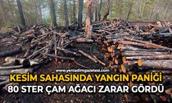 Kesim sahasında yangın paniği: 80 ster çam ağacı zarar gördü
