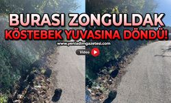 Burası Zonguldak: Köstebek yuvasına döndü!