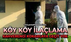 Köy köy ilaçlama: Kahverengi kokarcaya geçit yok