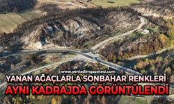 Yanan ağaçlarla sonbahar renkleri aynı kadrajda görüntülendi