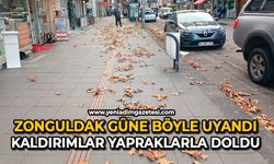 Zonguldak güne böyle uyandı: Kaldırımlar yapraklarla doldu