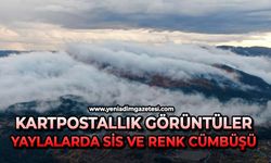 Kartpostallık görüntüler: Yaylalarda sis ve renk cümbüşü