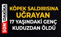 Köpek saldırısına uğrayan 17 yaşındaki genç kuduzdan öldü