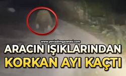 Aracın ışıklarından korkan ayı kaçtı