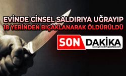 Evinde cinsel saldırıya uğrayıp 18 yerinden bıçaklanarak öldürüldü
