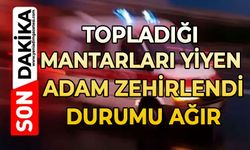 Topladığı mantarları yiyen bir kişi zehirlendi