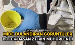 Mide bulandıran görüntüler: Böcek basan 2 fırın mühürlendi