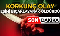 Eşini bıçaklayarak öldüren şahıs tutuklandı
