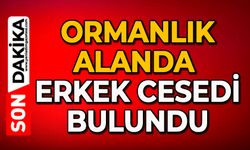 Ormanlık alanda erkek cesedi bulundu