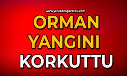 Orman yangını korkuttu