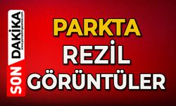 Parkta rezil görüntüler!