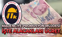 Madenciye promosyon müjdesi: İşte alacakları ücret