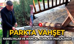 Parkta vahşet: Kamelyalar ve mangal alanları parçalandı