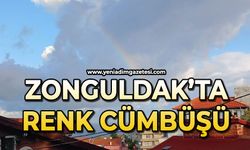 Zonguldak’ta renk cümbüşü