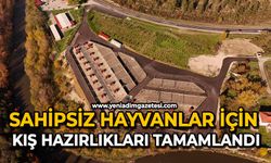 Sahipsiz hayvanlar için kış hazırlıkları tamamlandı