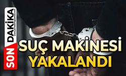Üç yıldır aranan 29 yıl hapis hükümlüsü firari hayvan çiftliğinde yakalandı