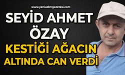 Seyid Ahmet Özay kestiği ağacın altında can verdi