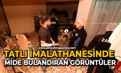 Tatlı imalathanesinde mide bulandıran görüntüler