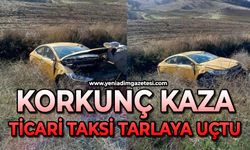 ticari taksi tarlaya uçtu