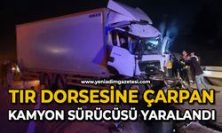 Tır dorsesine çarpan kamyonun sürücüsü yaralandı
