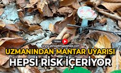 Uzmanından mantar uyarısı: Hepsi risk içeriyor