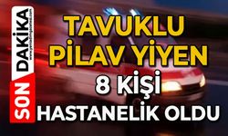 Tavuk pilav yiyen 8 kişi hastanelik oldu