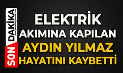 Elektrik akımına kapılan Aydın Yılmaz hayatını kaybetti