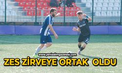 ZES Zirveye ortak  oldu