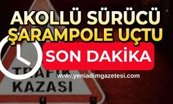 Alkollü sürücü şarampole uçtu