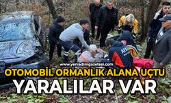 Otomobil ormanlık alana uçtu: Yaralılar var
