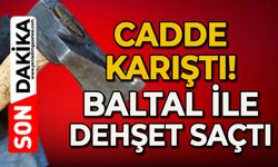 Cadde karıştı: Baltayla korku saçtı