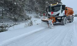Kar yağışı nedeniyle 486 köy yolundan 263'ü ulaşıma kapandı
