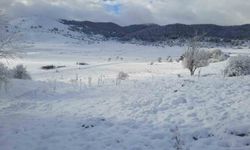 Abant ve çevresindeki yaylalar beyaza büründü