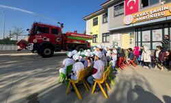 Ağaç yaşken eğilir eğitimi