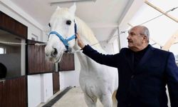 Atlı turizm merkezi kuruluyor