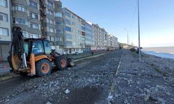 Dev dalgalar sahillere zarar verdi