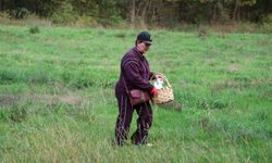 Doğaseverler Ormanya'nın zengin biyolojik çeşitliliğini keşfetti