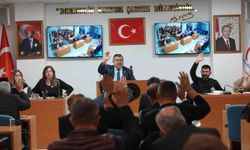 Düzce'de yapı güvenliğini artıracak