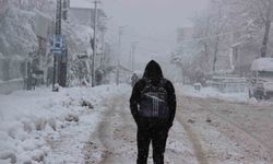 Düzce'nin Yığılca ilçesinde okullar tatil