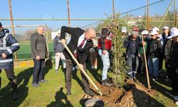 Fidanlar toprakla buluştu