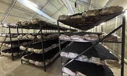 İlçenin ekonomisine yeni soluk