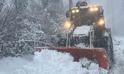 Kar nedeniyle 37 köy yolu ulaşıma kapandı