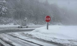 Kar yağışı yeniden başladı